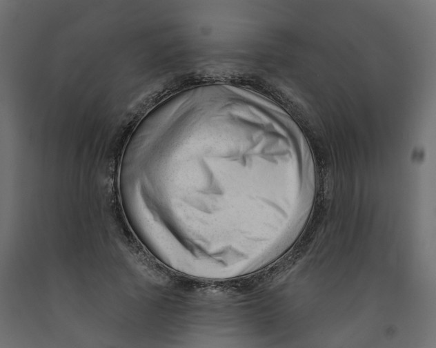 X0000091990737200710041129