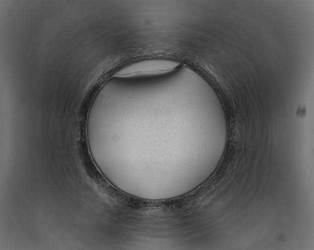 X0000091990738200710041129