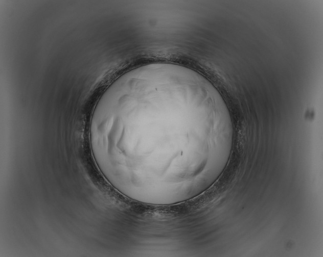 X0000091990739200710041129