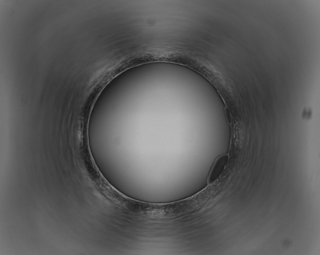 X0000091990740200710041129
