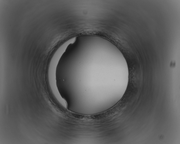 X0000091990742200710041129