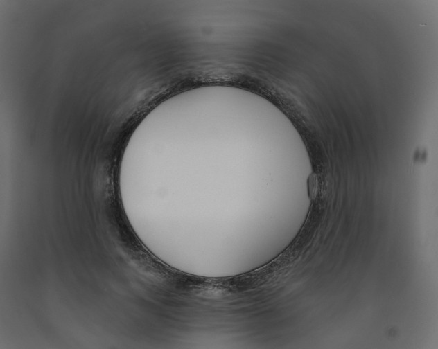 X0000091990743200710041129