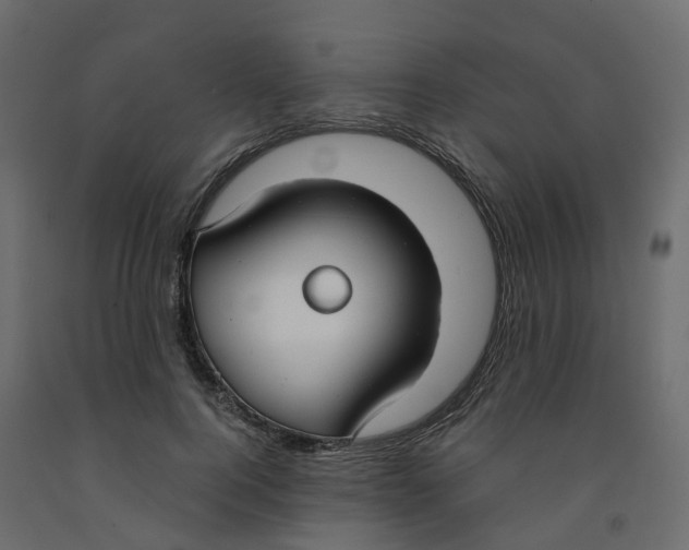 X0000091990744200710041129