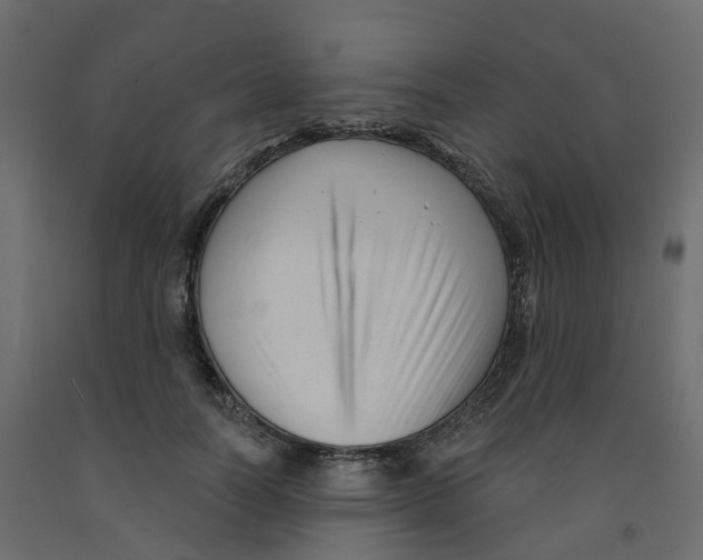 X0000091990746200710041129