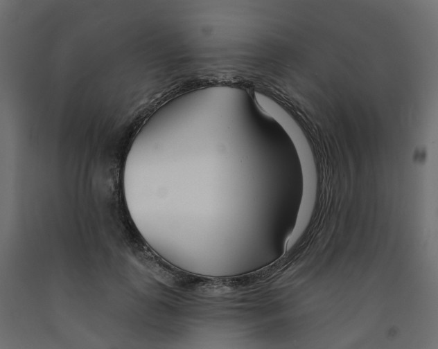 X0000091990747200710041129