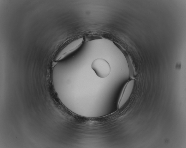 X0000091990748200710041129