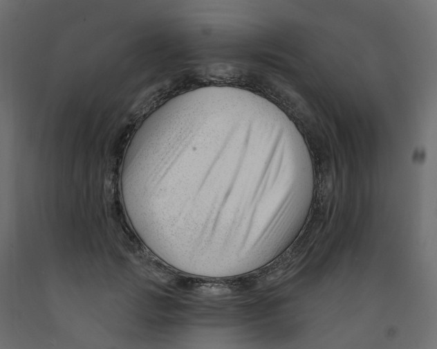 X0000091990749200710041129