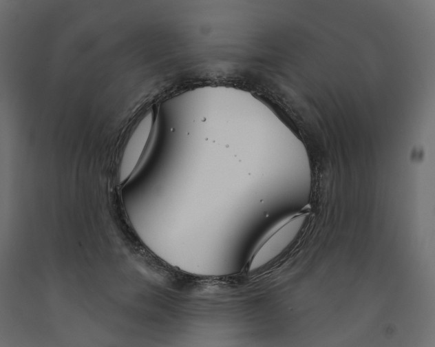 X0000091990750200710041129