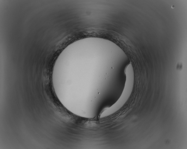 X0000091990751200710041129