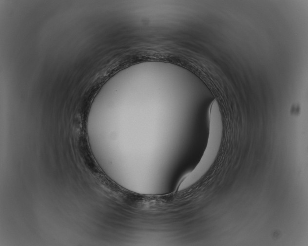 X0000091990752200710041129