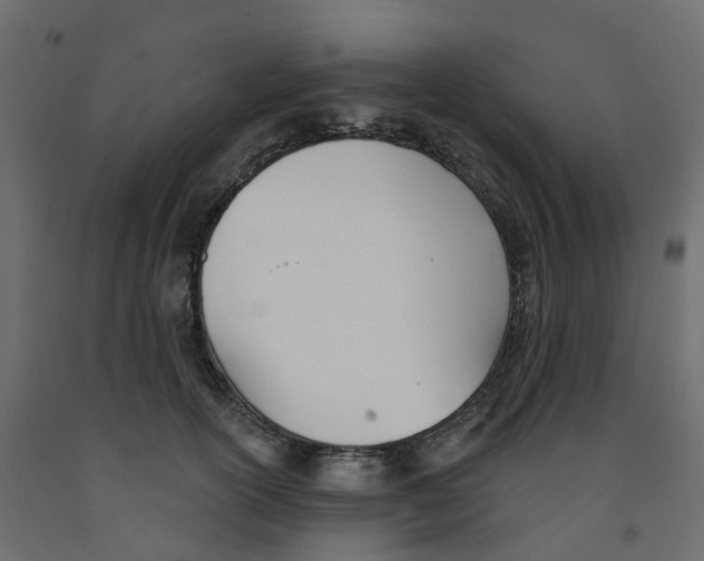 X0000091990754200710041129