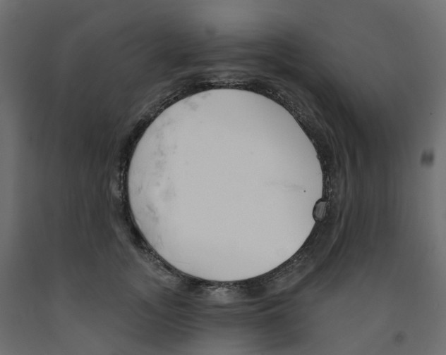 X0000091990755200710041129