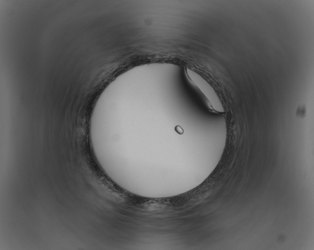 X0000091990756200710041129
