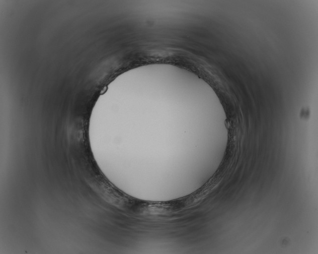 X0000091990758200710041130