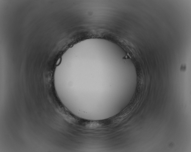 X0000091990759200710041130