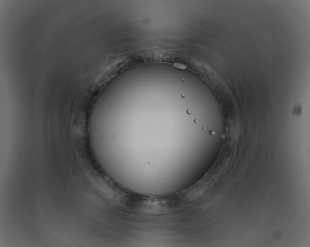 X0000091990760200710041130