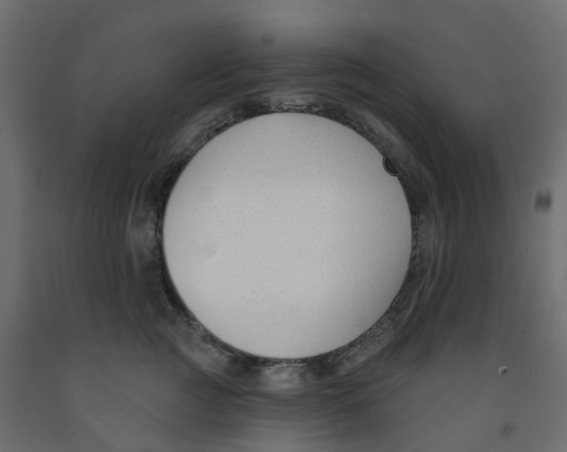 X0000091990761200710041130