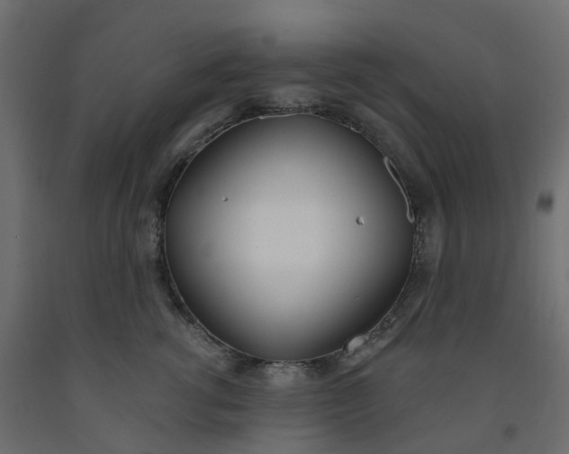 X0000091990762200710041130