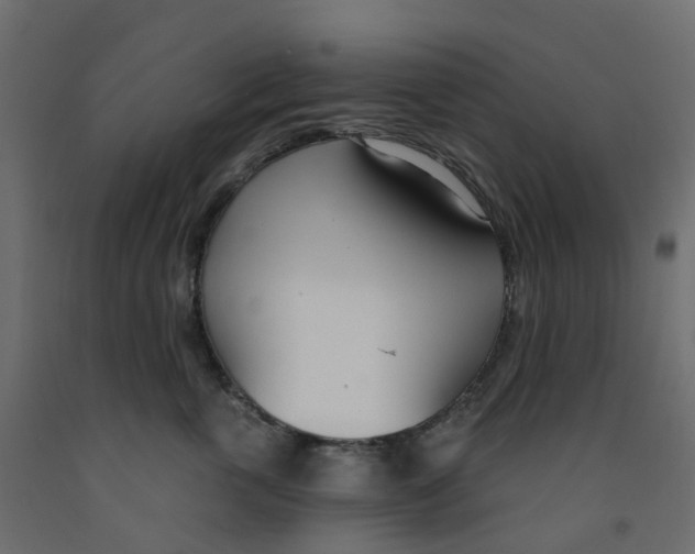 X0000091990763200710041130