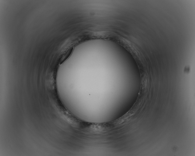X0000091990764200710041130