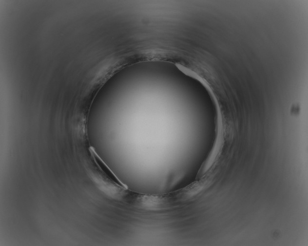 X0000091990766200710041130