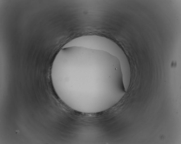 X0000091990768200710041130