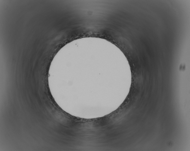 X0000091990769200710041129