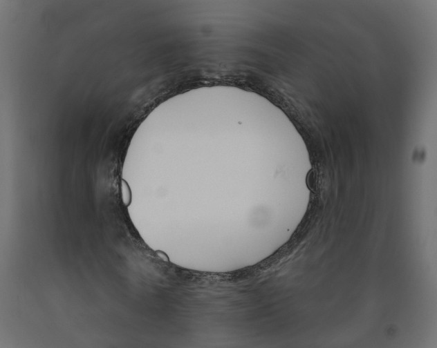 X0000091990770200710041129