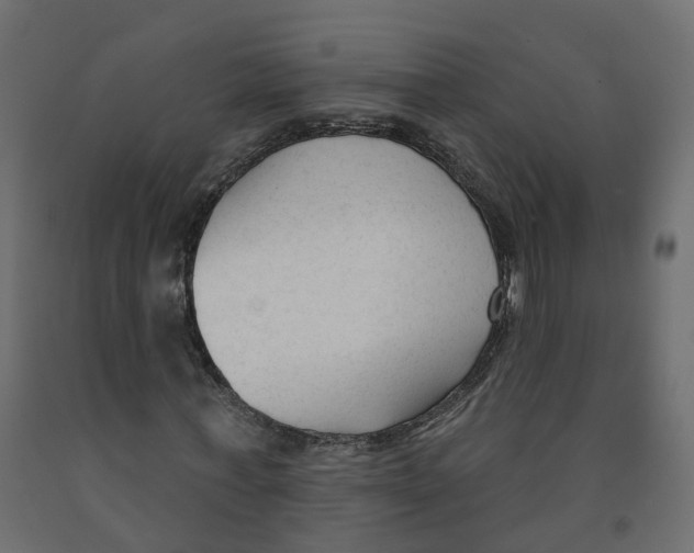 X0000091990771200710041129