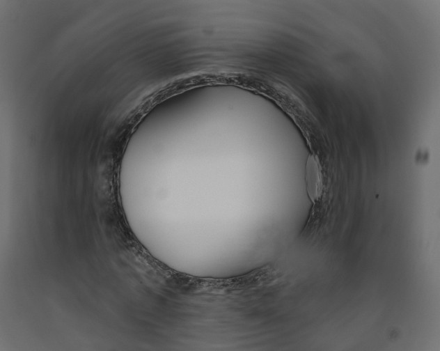X0000091990773200710041129