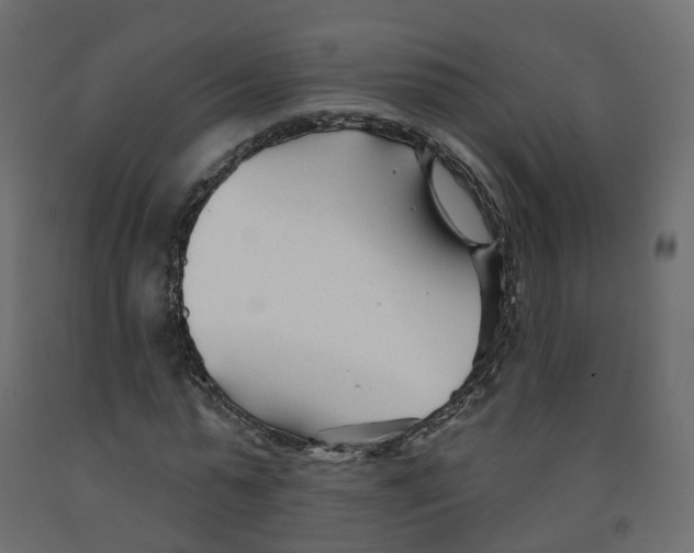 X0000091990775200710041129