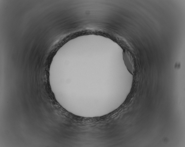 X0000091990776200710041129