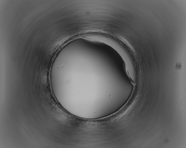 X0000091990777200710041129