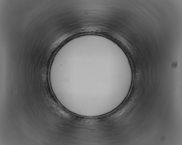 X0000091990778200710041129