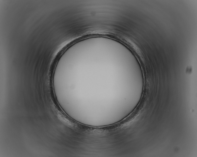 X0000091990779200710041129