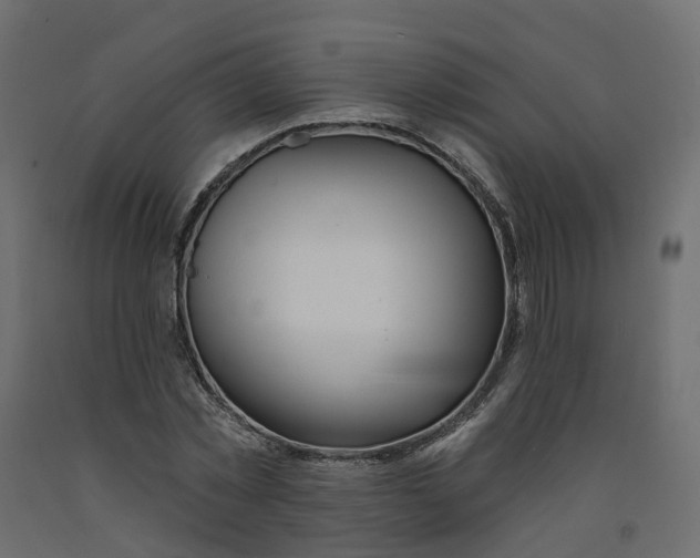 X0000091990781200710041129