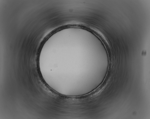 X0000091990783200710041129
