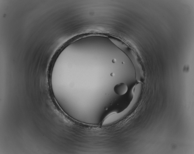 X0000091990784200710041129