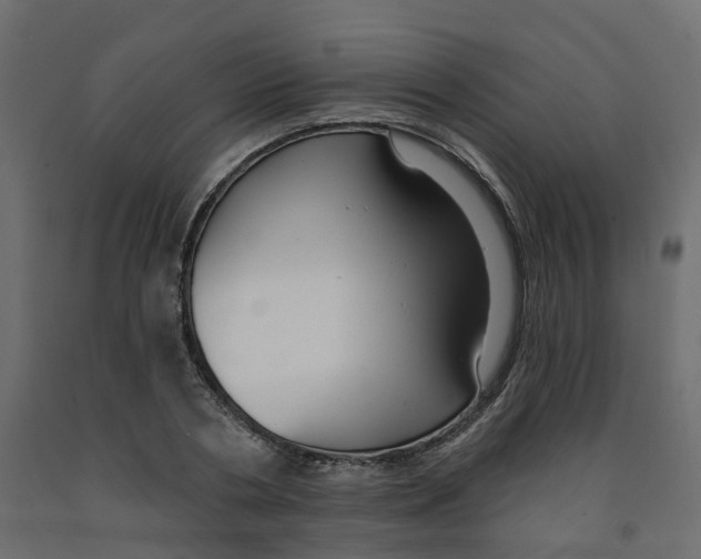 X0000091990786200710041129