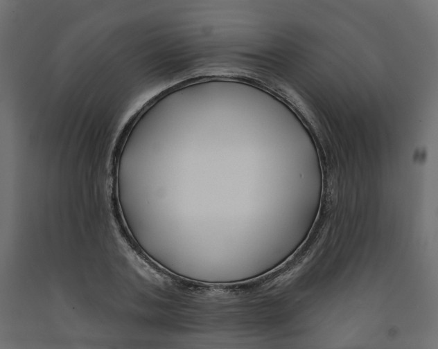 X0000091990787200710041129