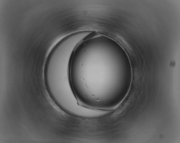 X0000091990788200710041129