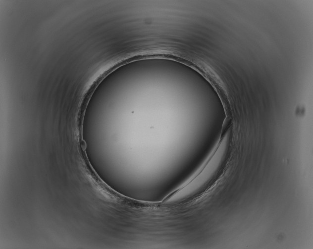 X0000091990789200710041129