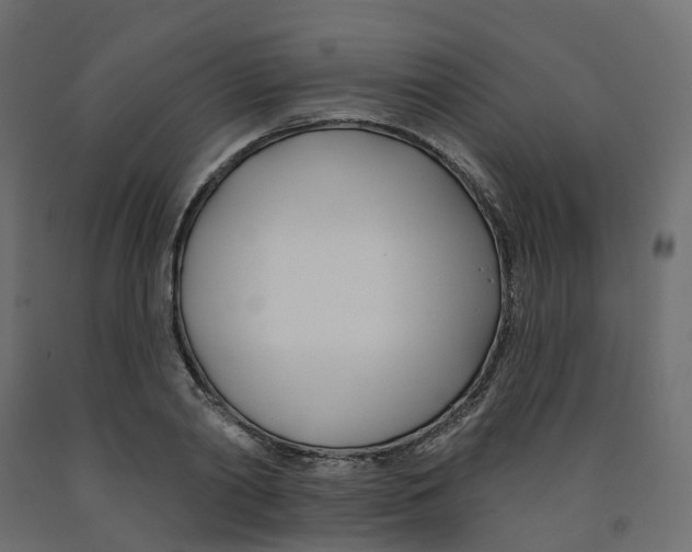 X0000091990790200710041129