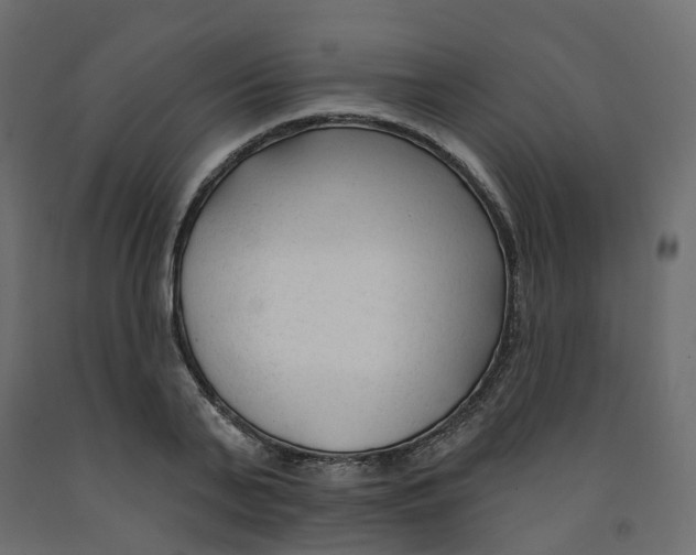 X0000091990791200710041129