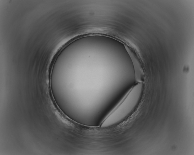 X0000091990792200710041129