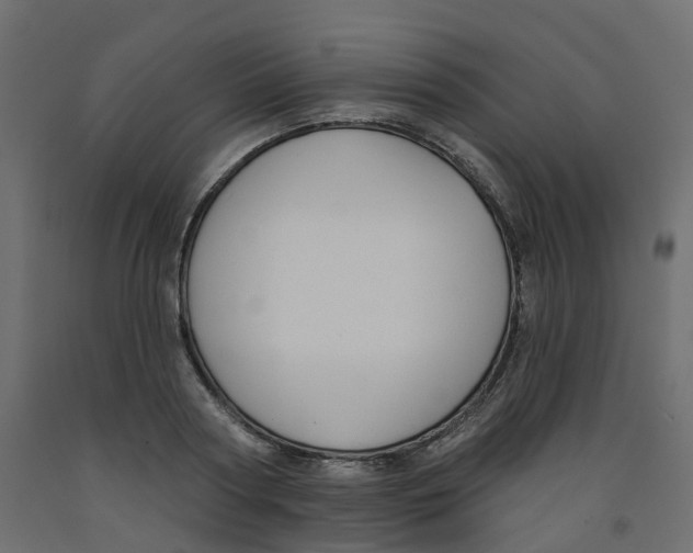 X0000091990794200710041129