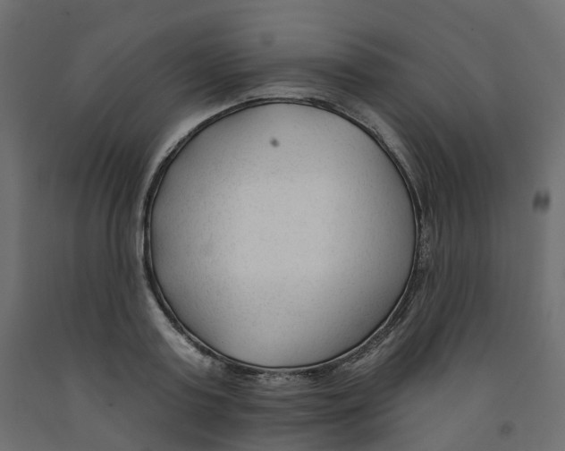X0000091990795200710041129