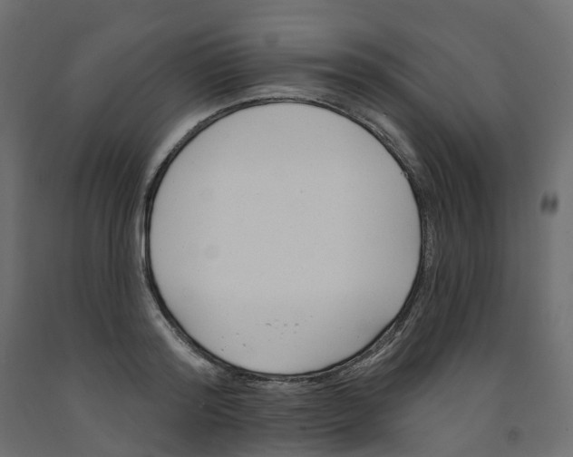 X0000091990796200710041129