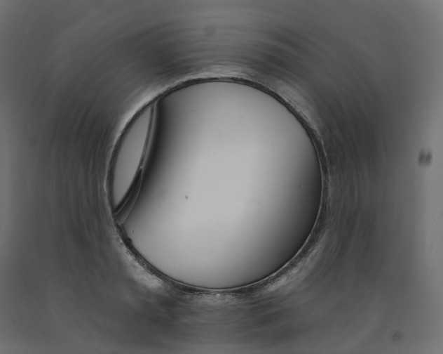 X0000091990797200710041129