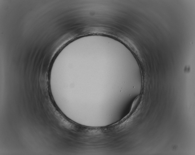 X0000091990798200710041129